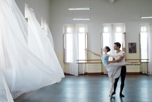 A Wolf among the swans - Filmclub Schijndel - Spectrum Schijndel