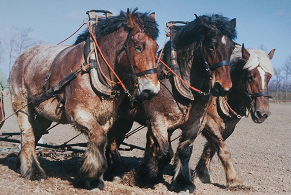 Lezing Wim van Lankveld - Spectrum Schijndel