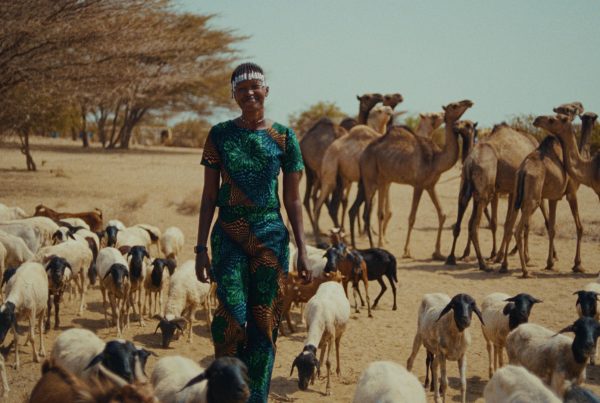 Nawi Filmclub Schijndel 13 januari 2026