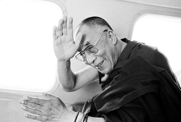 Wisdom of Hapiness Filmclub Schijndel - Spectrum Schijndel