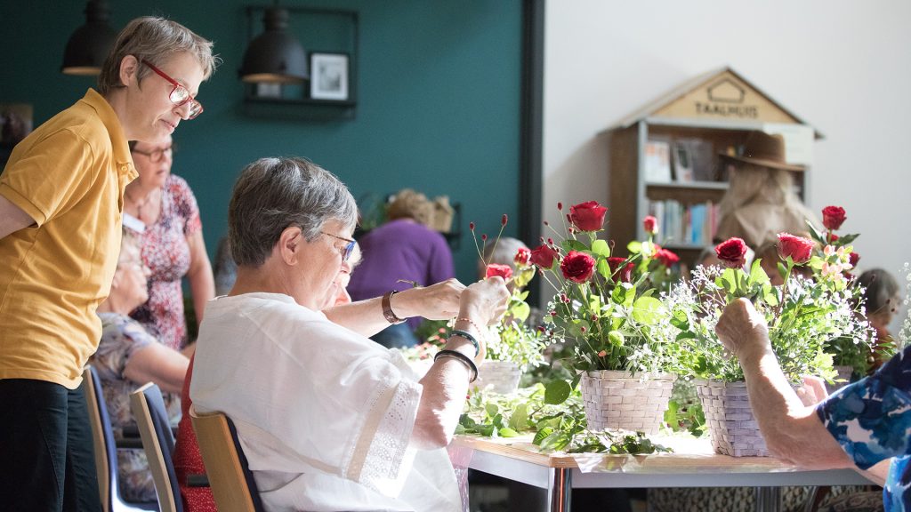Zomerpalet Sociaal Werk Meierijstad - 2025