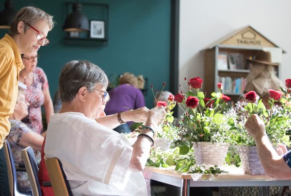 Zomerpalet Sociaal Werk Meierijstad - 2025